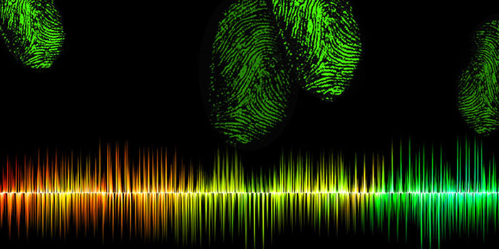 Audio Recognition- biometria vocale