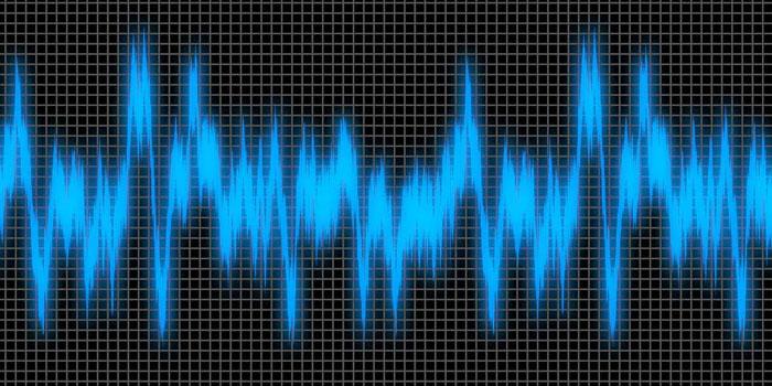 biometria vocale- audio recognition